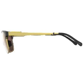 Men's Bex ROGER Sunglasses S74BBG
